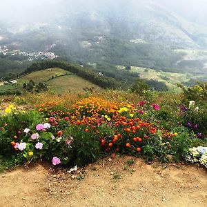 Garden villa dam view